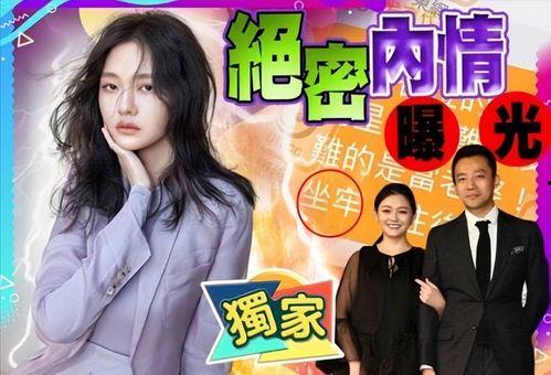 总裁夺爱失婚妻 今日吃瓜热心的朝阳群众进入